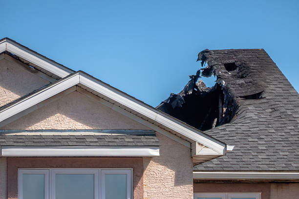 Top rated local Odor Removal specialists in Hopewell, NJ